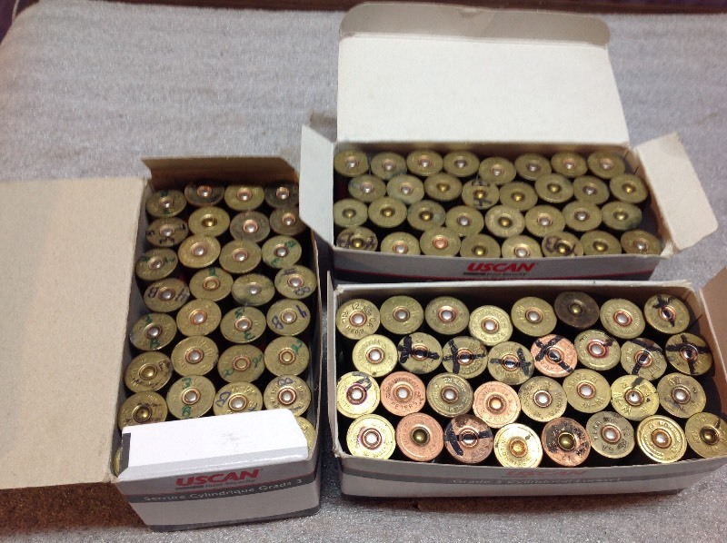 lot 30 image: 12 Guage Shells