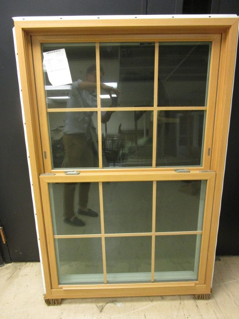 DOUBLE HUNG WINDOW WITH PANES