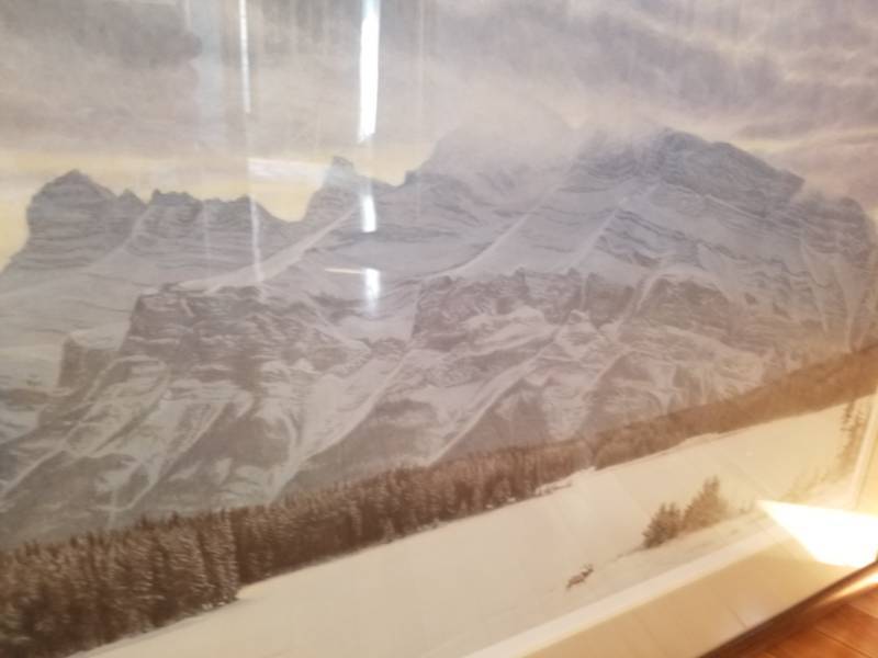 lot 44 image: Limited Edition Robert Bateman Print Signed - Frozen Tundra