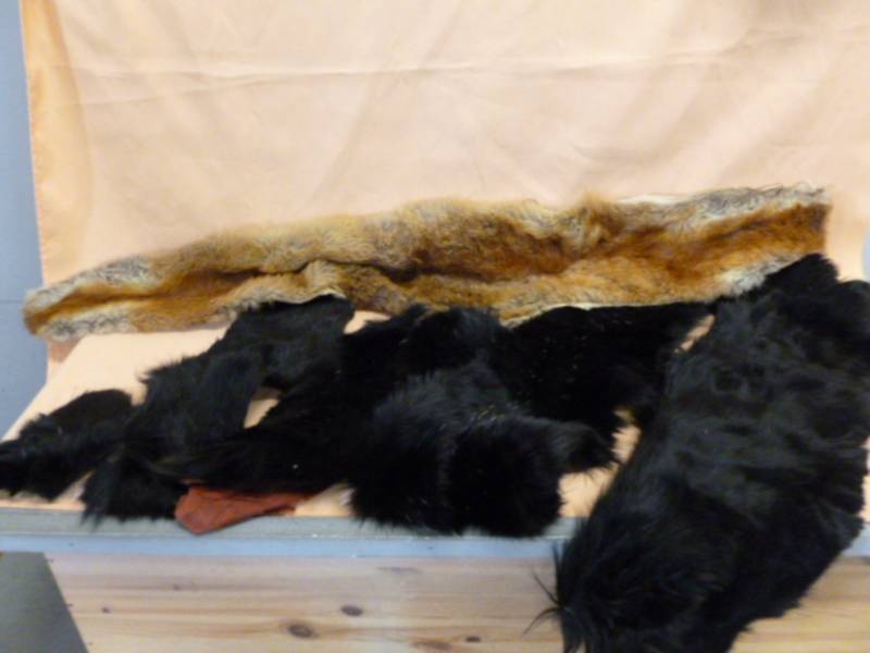 lot 158 image: Vintage Fur Pelts