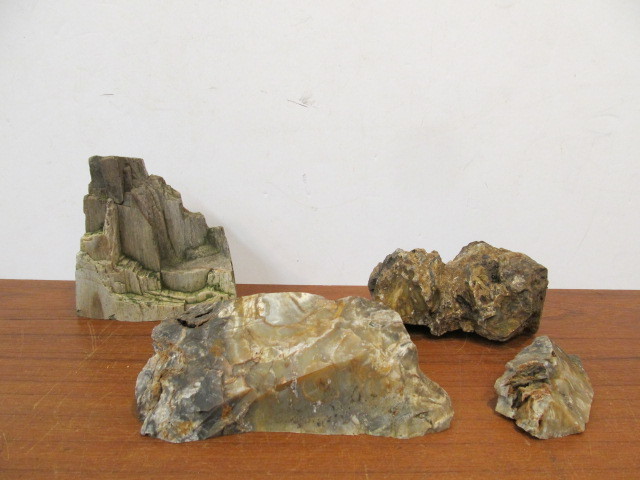 lot 153 image: 4 Pieces of Petrified Wood