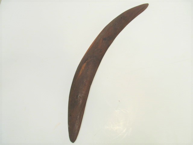 lot 254 image: Large Vintage Aboriginal Chip Carved Mulga Wood Boomerang