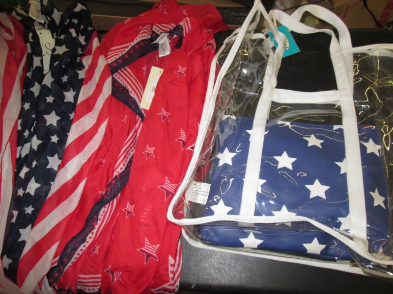 lot 29 image: Clear Handbag W 4th of July Makeup...