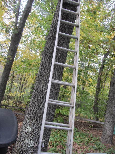 Extension Ladder