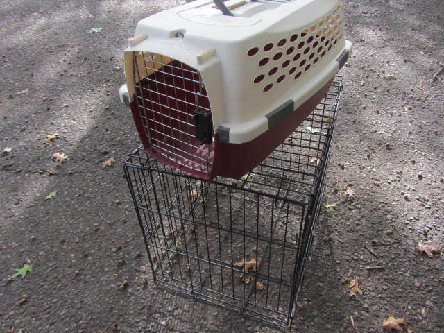 Kennels