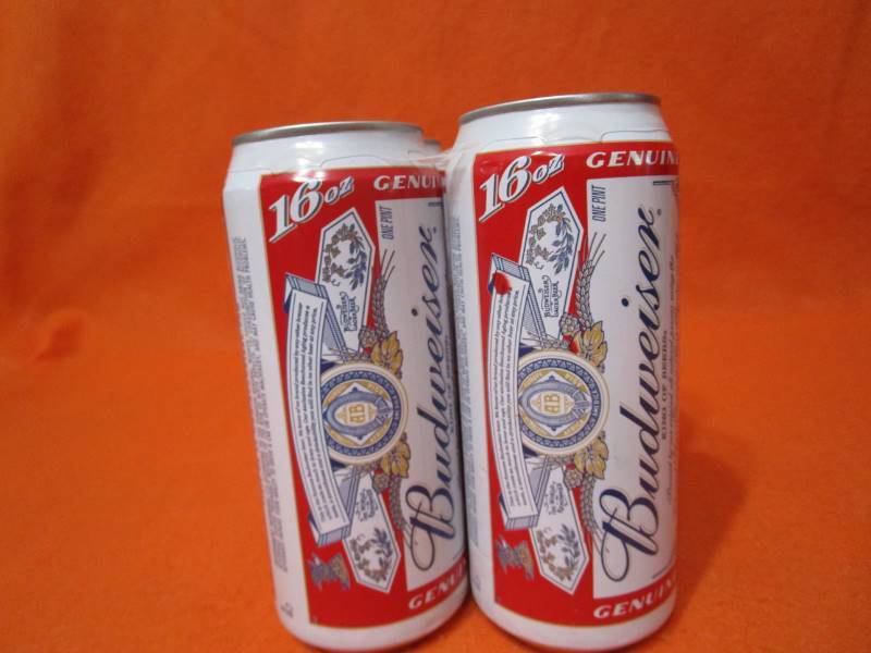 lot 75 image: Dale Earnhardt Jr. 16oz Budweiser Six Pack