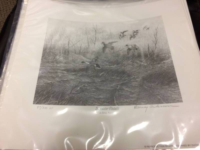 lot 30 image: Backwater Pintails by Barney Anderson Signed & Numbered Limited Edition ARTIST PROOF Print Size With Border Approx 14x13