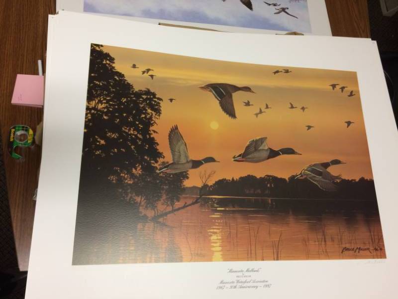 lot 45 image: Minnesota Mallards by Bruce Miller Signed & Numbered Limited Edition Print Size With Border Approx 28x21