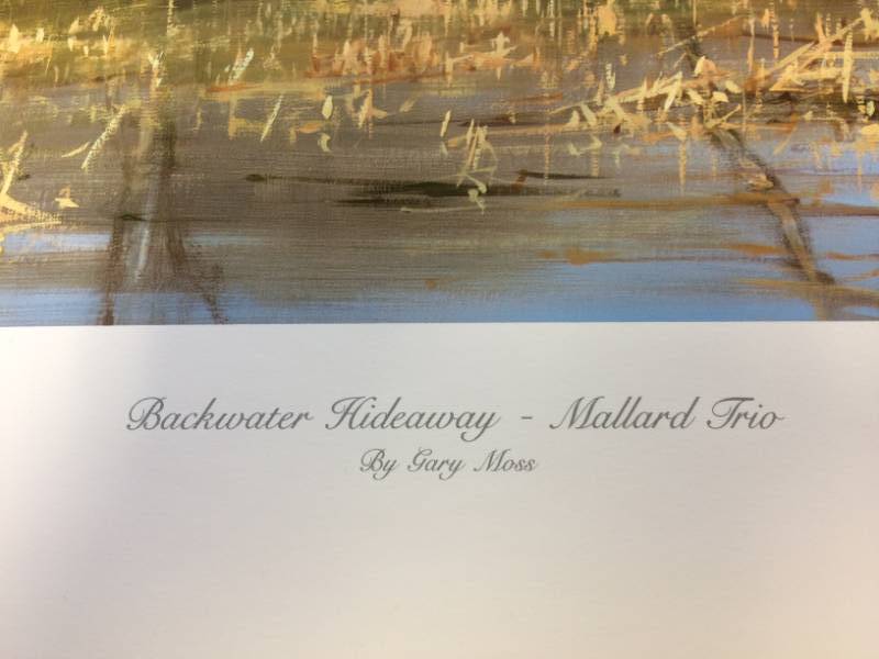 lot 2 image: Backwater Hideaway - Mallard Trio by Gary Moss Signed & Numbered Limited Edition Print Size With Border Approx 25x18