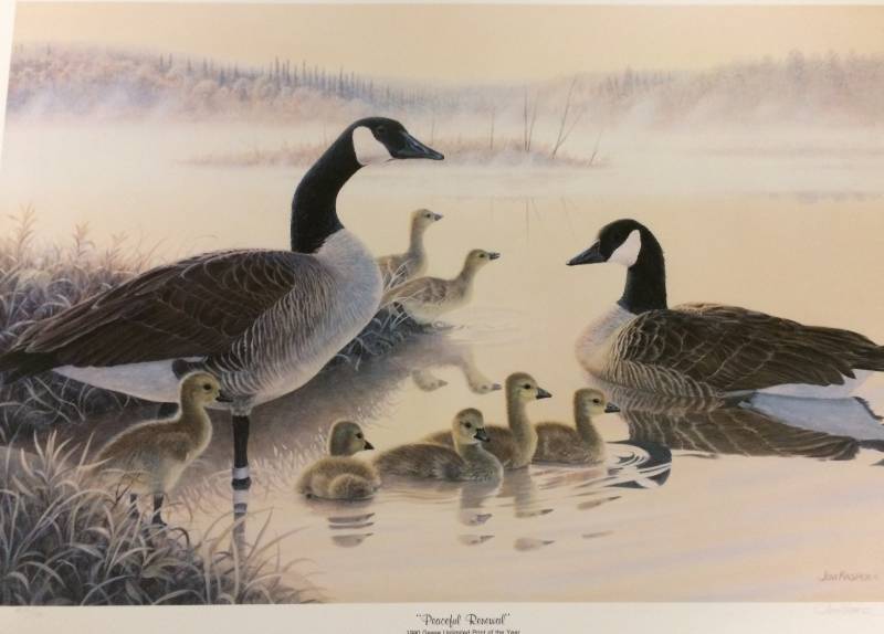 lot 4 image: Peaceful Renewal by Jim Kaspar Signed & Numbered Limited Edition Print Size With Border Approx 29x21
