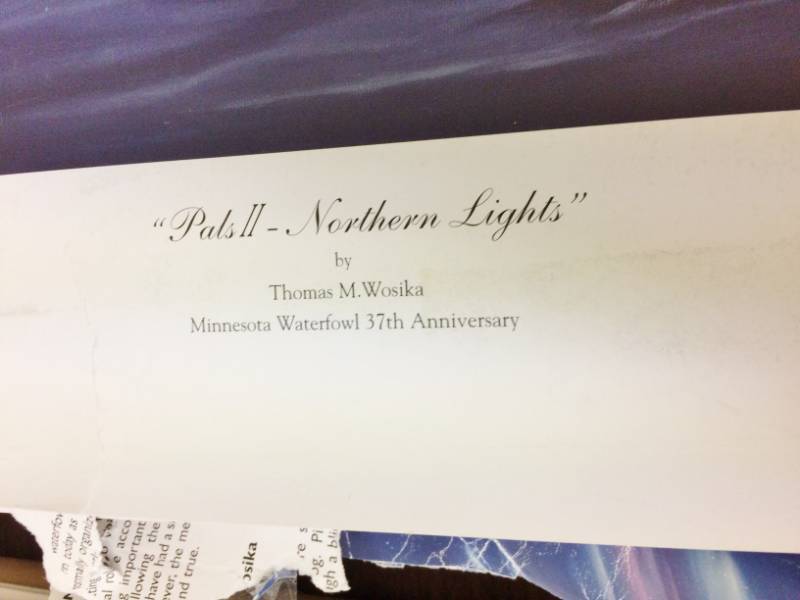 lot 19 image: Pals II - Northern Lights by Thomas M Wosika Signed Print Size With Border Approx 24x21