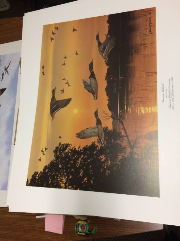 lot 47 image: Minnesota Mallards by Bruce Miller Signed & Numbered Limited Edition Print Size With Border Approx 28x21