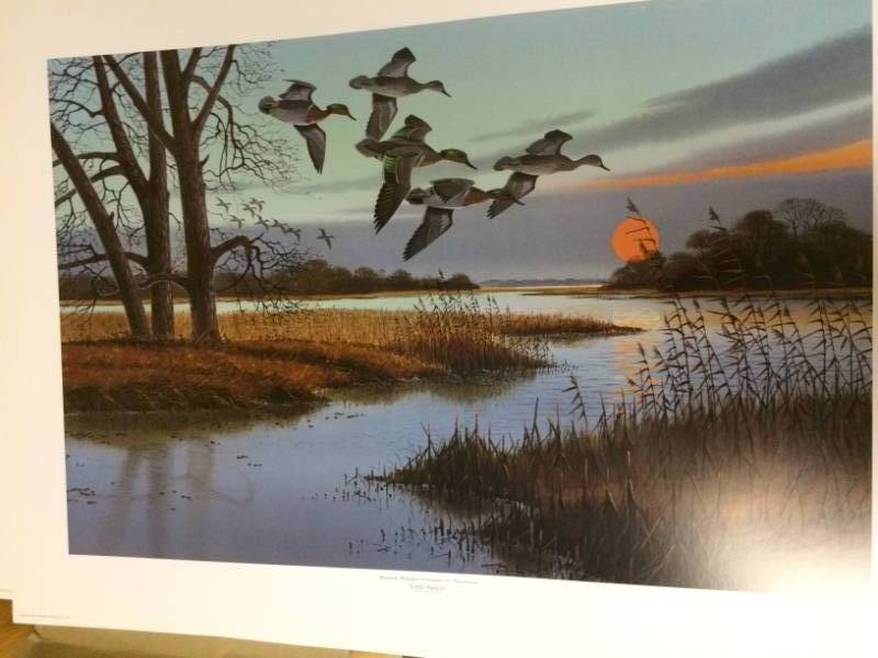 lot 55 image: Little Bullets - Green Wing Teal by Jerry Raedeke Unsigned Print Size With Border Approx 26x19