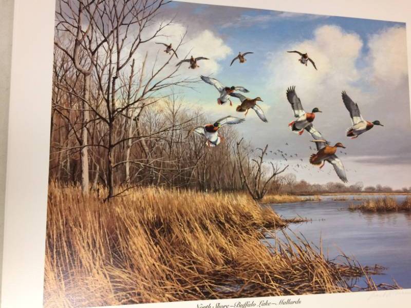lot 71 image: North Shore - Buffalo Lake - Mallards by David A. Maass Signed & Numbered Limited Edition Print Size With Border Approx 27x23