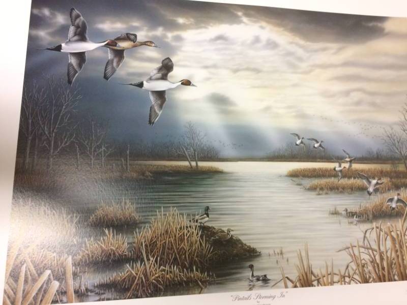 lot 74 image: Pintails Storming In by David Chapman Signed & Numbered Limited Edition Print Size With Border Approx 25x19