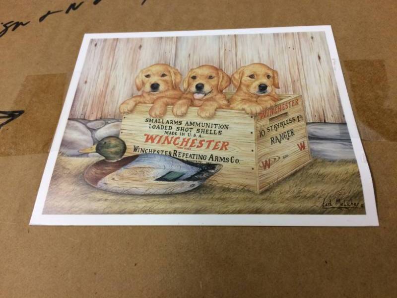 lot 79 image: Golden Retriever Puppies Smallarms Ammunition By Carl Melichar Signed & Numbered Limited Edition Print Size With Border Approx 25x20