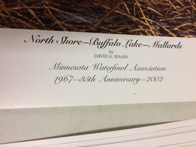 lot 72 image: North Shore - Buffalo Lake - Mallards by David A. Maass Signed & Numbered Limited Edition Print Size With Border Approx 27x23