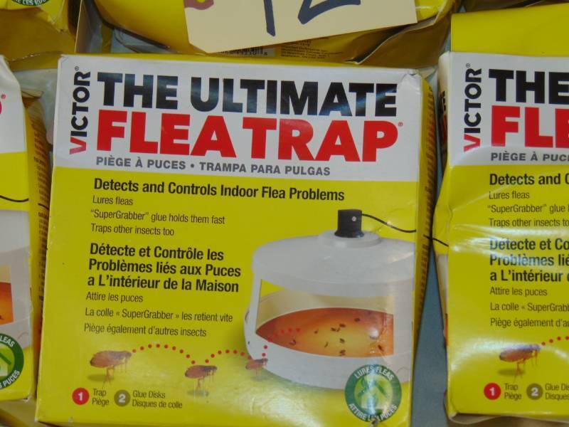 lot 12 image: 6 Victor Ultimate Flea Traps