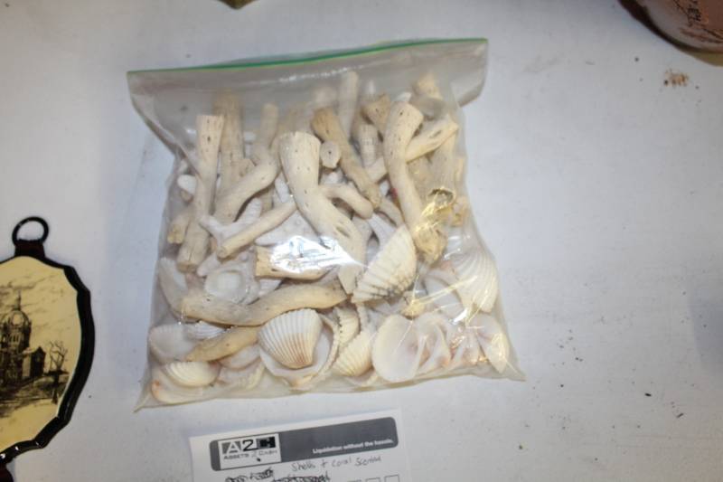 lot 311 image: Sea Shells and Coral Scented