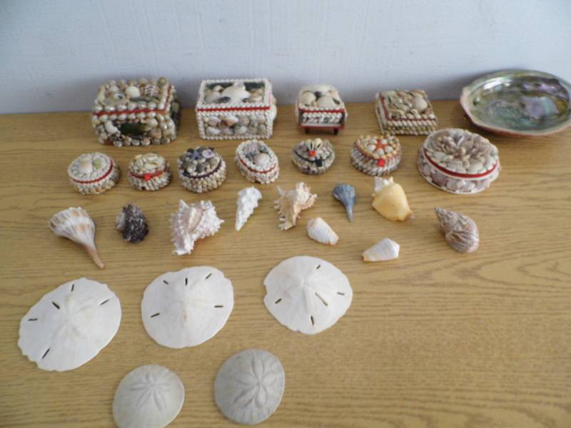 Shell Dcor