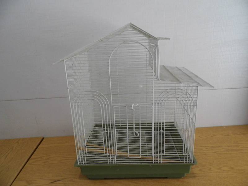 Bird Cage