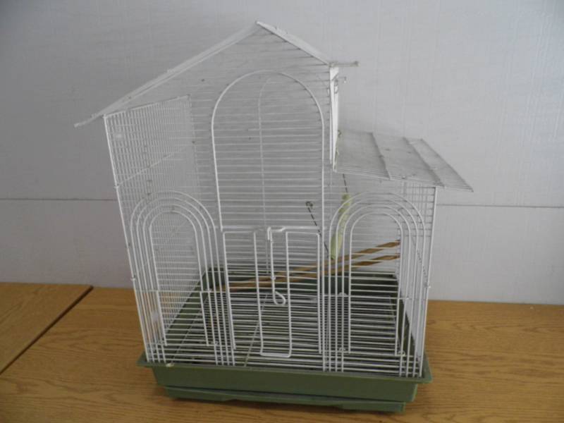 Bird Cage
