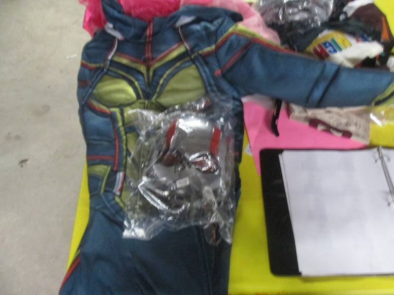 lot 58 image: ant man costume...