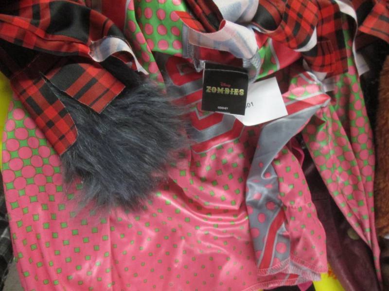 lot 101 image: misc costumer items...