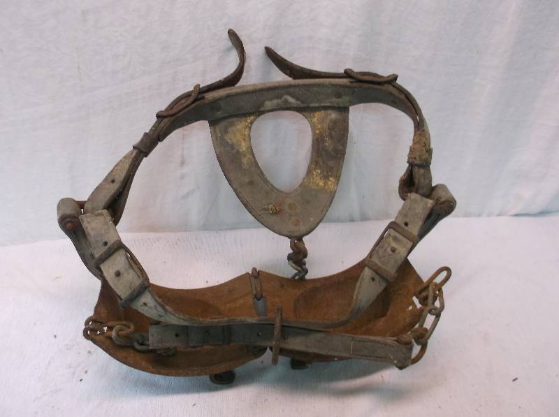 lot 27 image: Bull Blinders