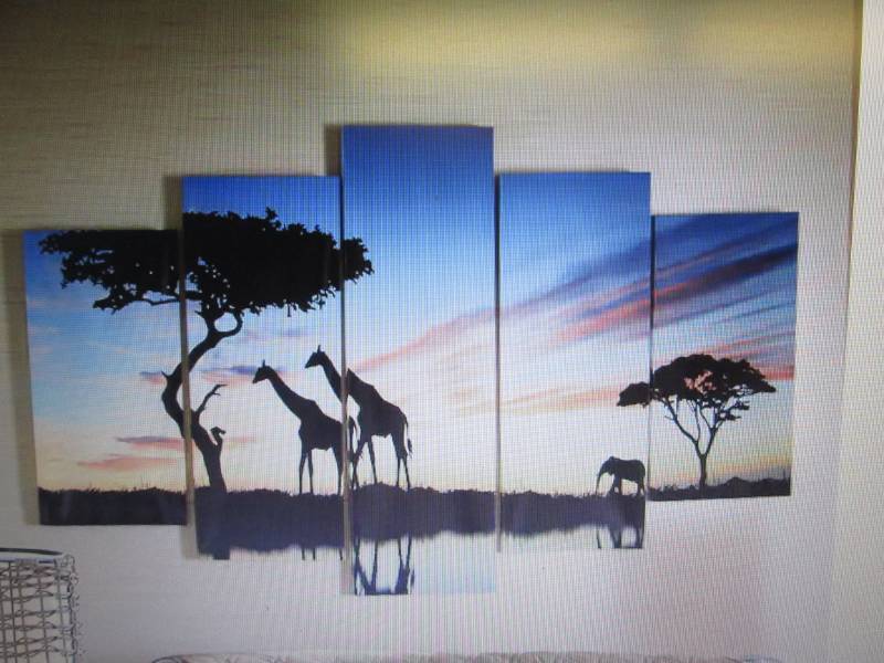 lot 1 image: Cool Safari Canvas Set open box Ret...