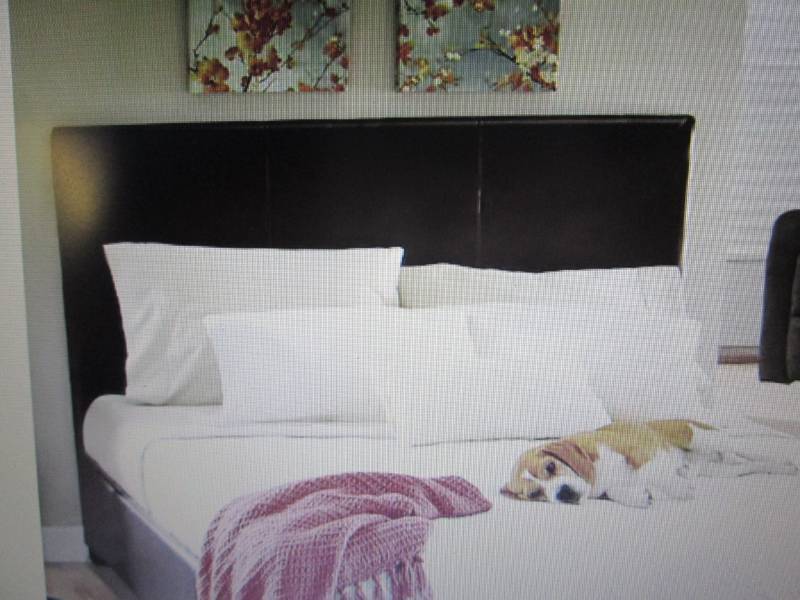 lot 52 image: Queen Headboard only Coffee Colored...