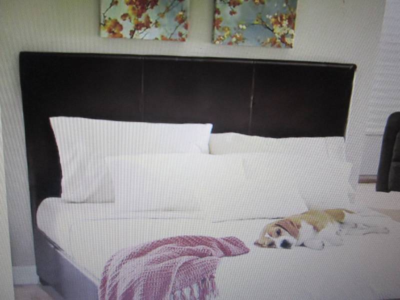lot 53 image: Queen Headboard only Coffee Colored...