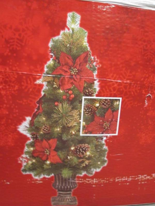 lot 64 image: 4 Burgundy Poinsettia Potted Pre-L...