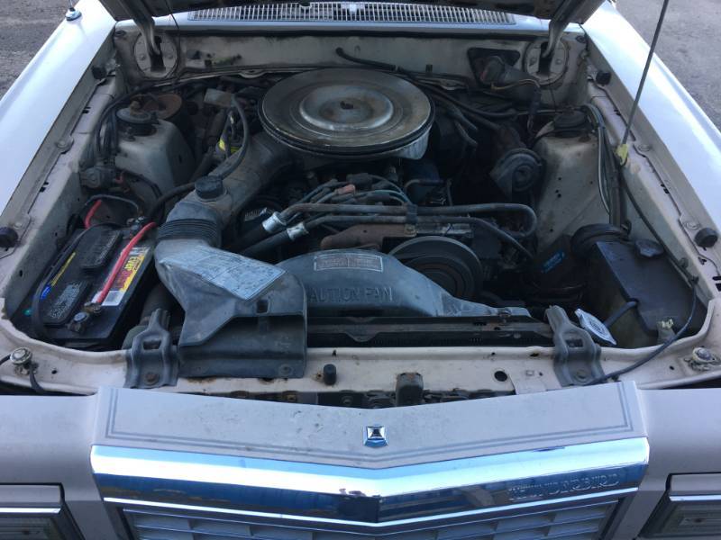 1981 Ford Thunderbird