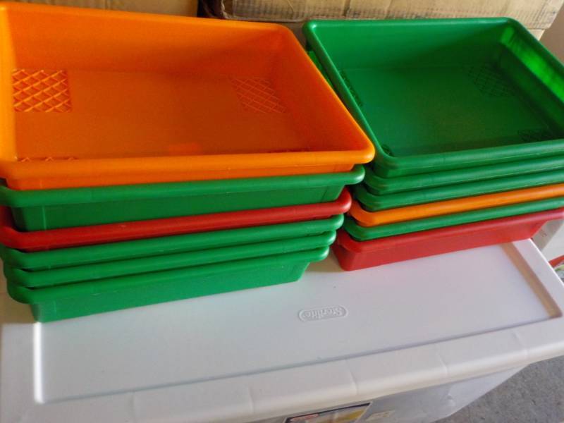 lot 44 image: 10 Plastic Trays 14 x 11 x 3...