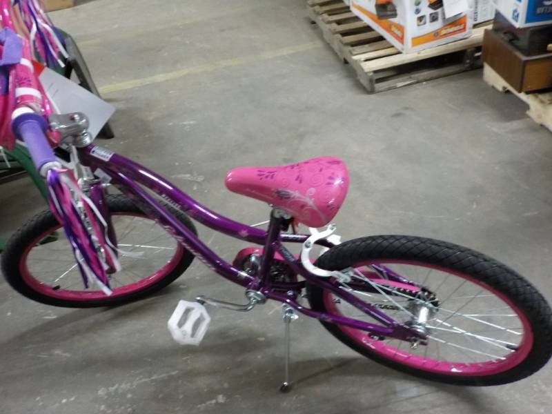 lot 110 image: Youth Schwinn 20 girls Bike...