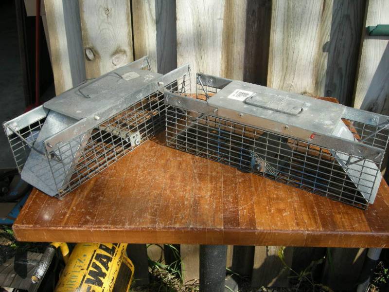lot 127 image: 2 Havahart Live Traps