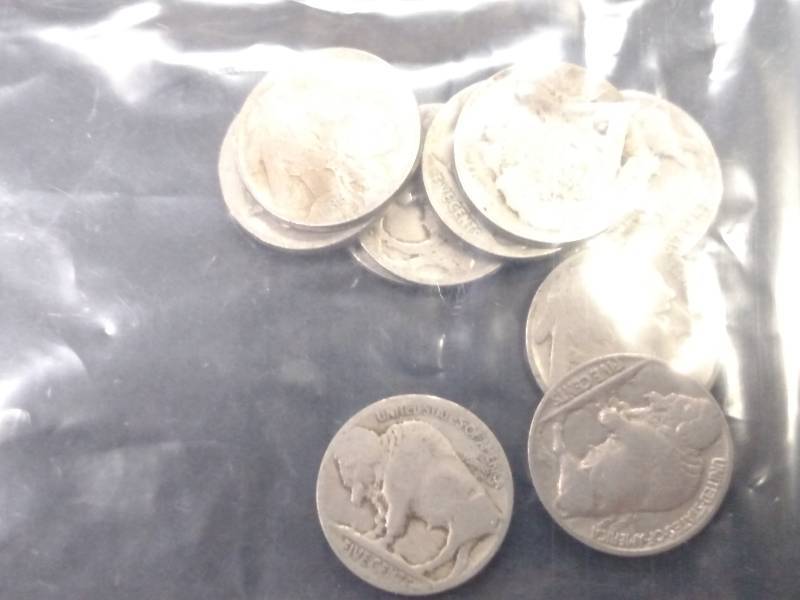 (10) Buffalo Nickels...