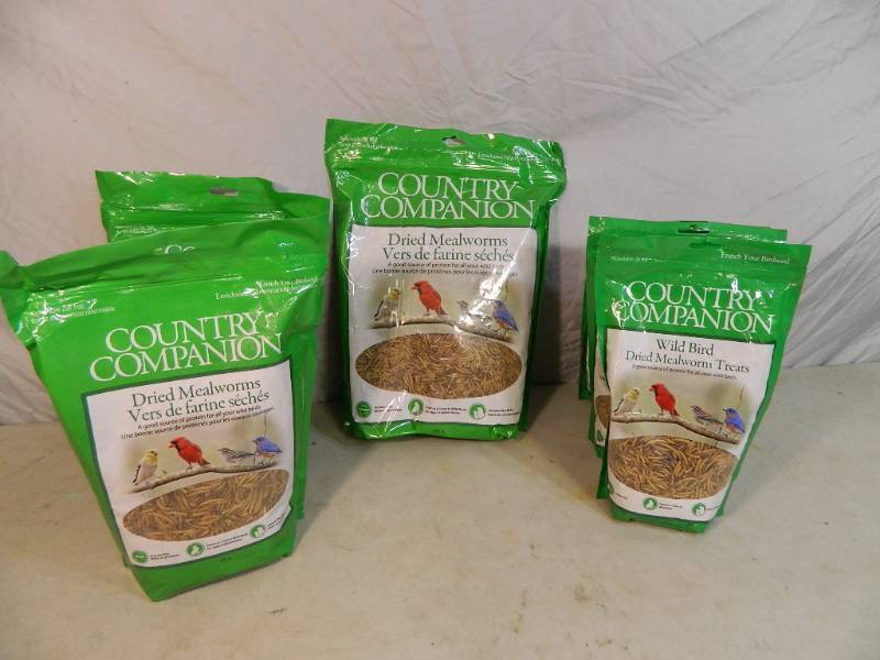 country companion mealworms