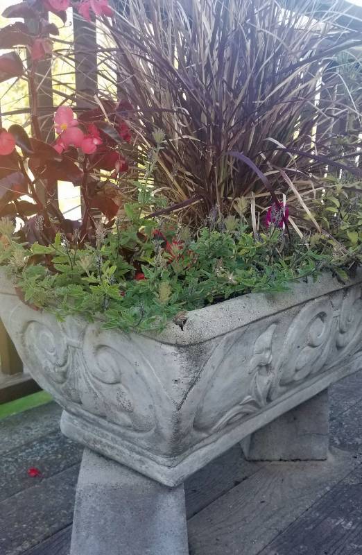 lot 105 image: Pair of Concrete Outdoor Planters