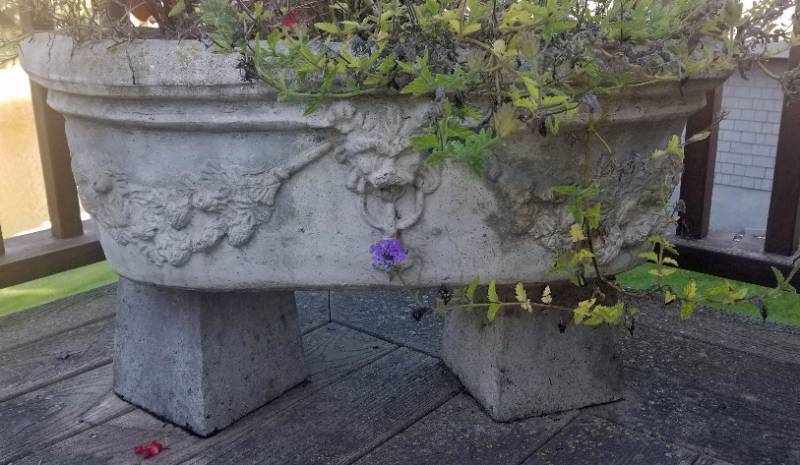 lot 106 image: Gargoyle Concrete Outdoor Planter