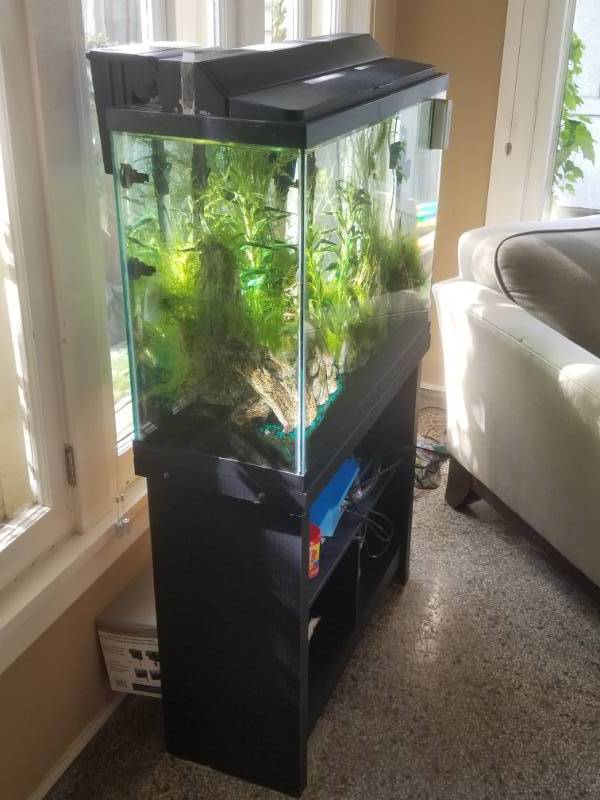lot 14 image: Fish Tank and Stand