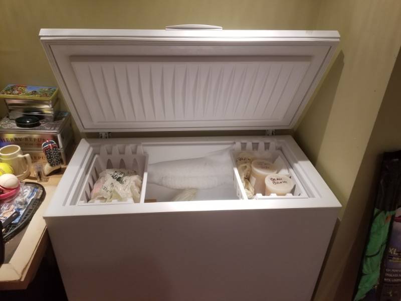 lot 55 image: Freezer Chest