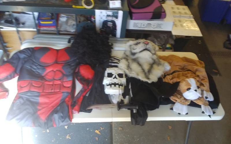 lot 11 image: Halloween Costume Related