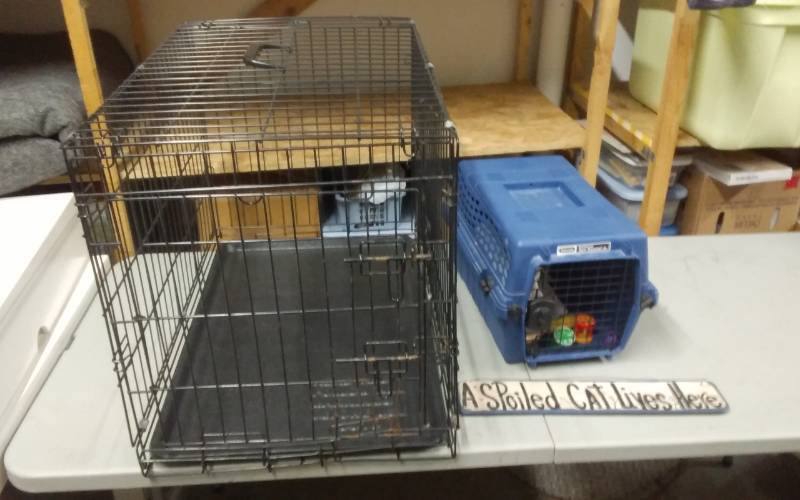 lot 35 image: Medium Size Pet Crate, Pet Carrier, Cat Sign & Toys