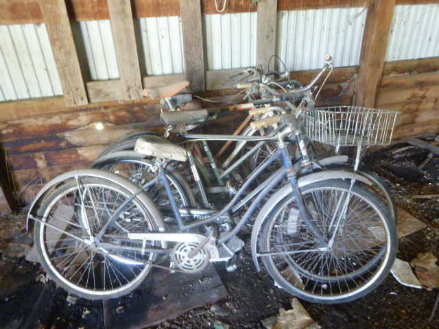 lot 103 image: 5 Bicycles