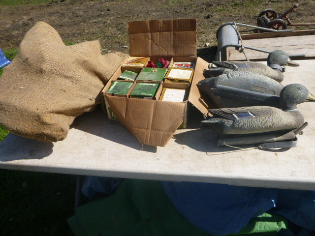 lot 107 image: 10 Duck Decoys and Shotgun Shells