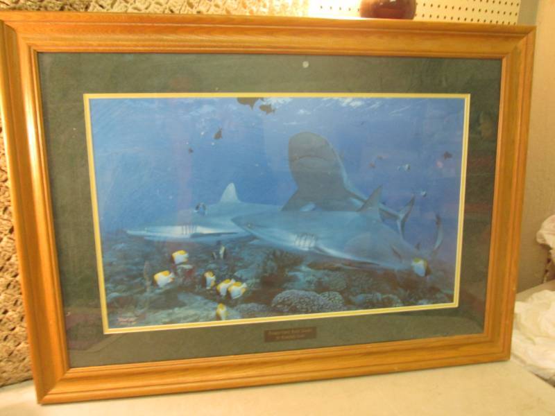 lot 2 image: Large Framed Signed and Numbered Fr...