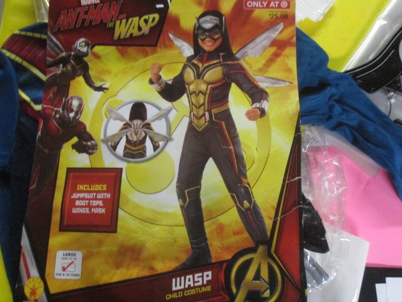 antman wasp costumer...