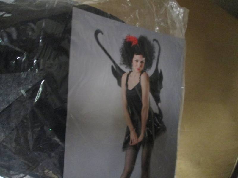 Costume wing set for adults...